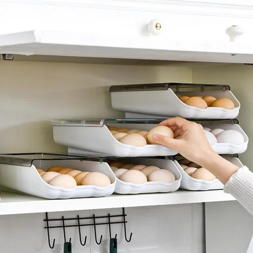 Miniatura 1 de Organizador De Huevos Tapa Transparente